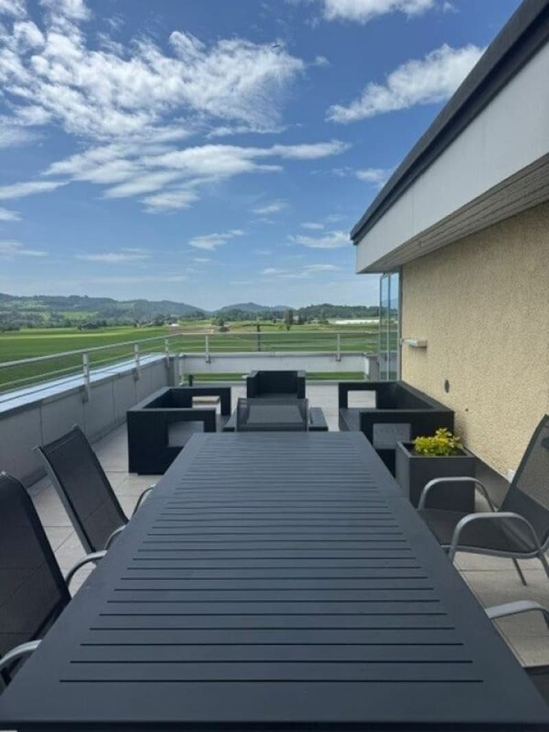 4.5 Zimmer Attikawohnung mit grosser Terrasse (2)