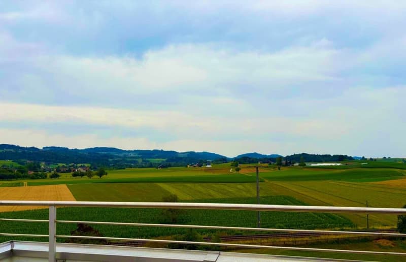 4.5 Zimmer Attikawohnung mit grosser Terrasse (3)