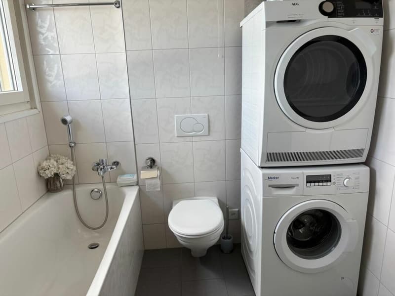 4.5 Zimmer Attikawohnung mit grosser Terrasse (8)