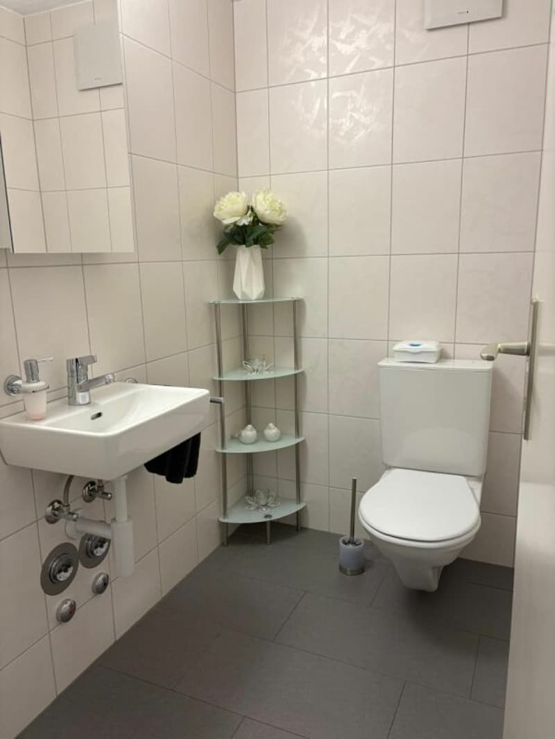 4.5 Zimmer Attikawohnung mit grosser Terrasse (11)