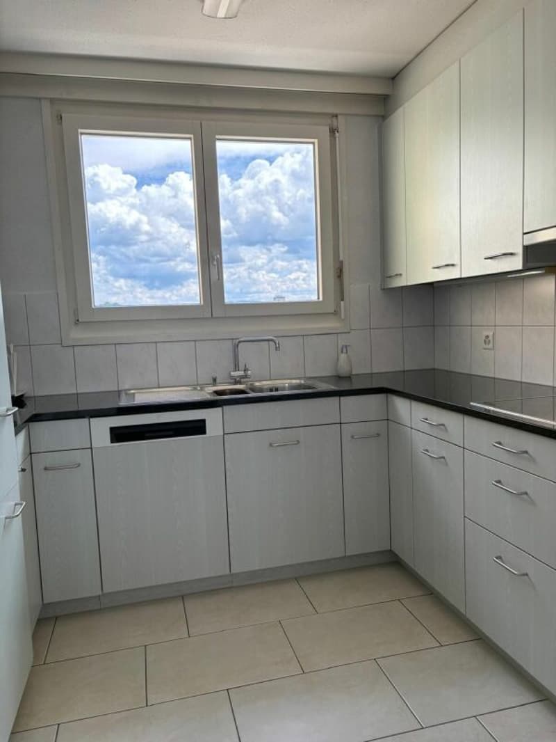 4.5 Zimmer Attikawohnung mit grosser Terrasse (7)