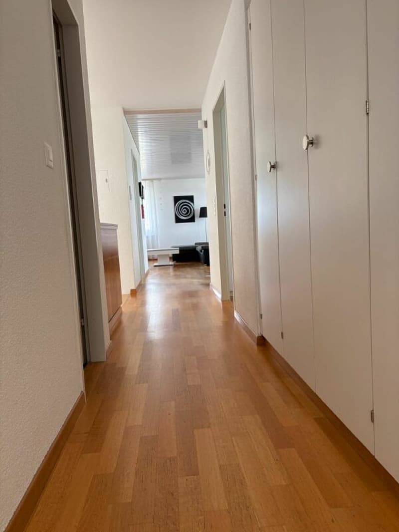 4.5 Zimmer Attikawohnung mit grosser Terrasse (6)