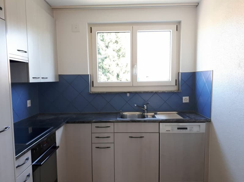 Charmante 5.5 Zimmer Wohnung (3)