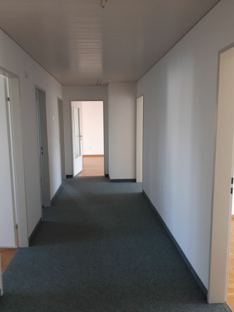 Charmante 5.5 Zimmer Wohnung (2)