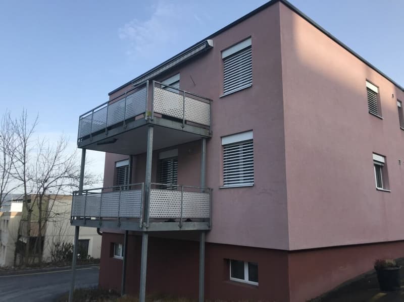 Gemütliche 3-Zimmerwohnung (1)