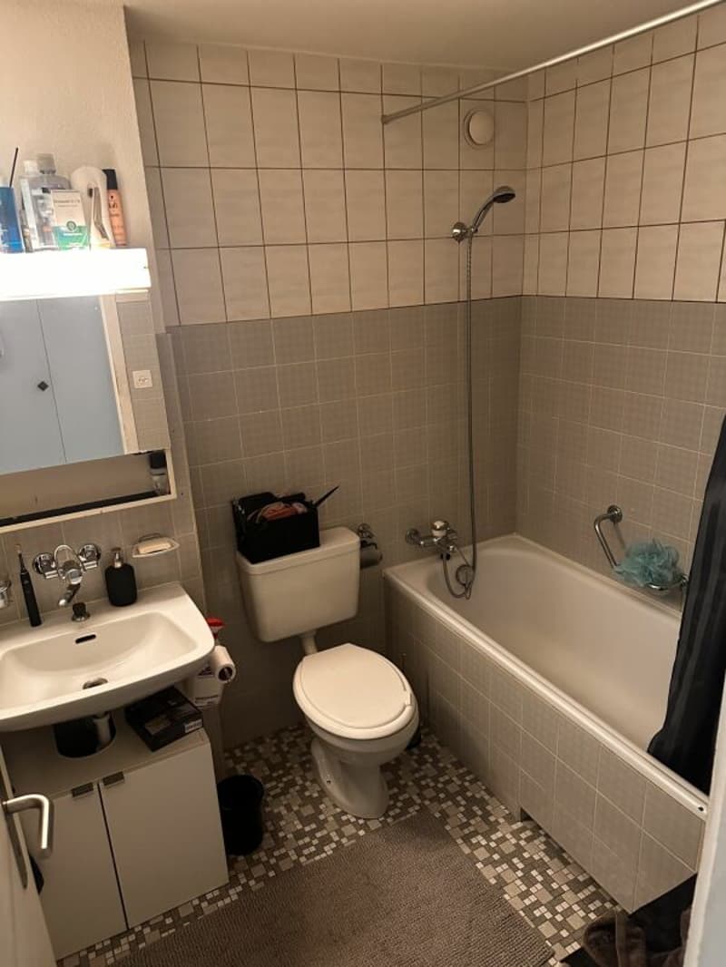Gemütliche 3-Zimmerwohnung (4)