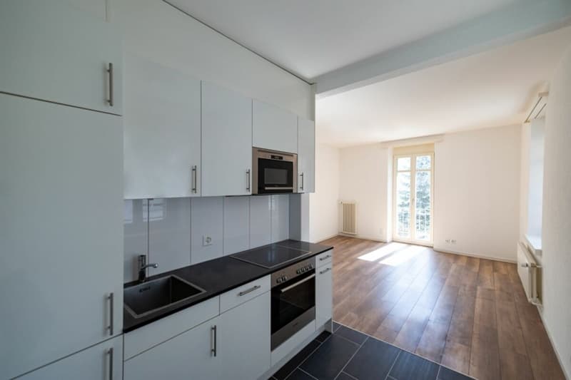 Zentrale 2.5-Zimmer-Wohung am See (2)