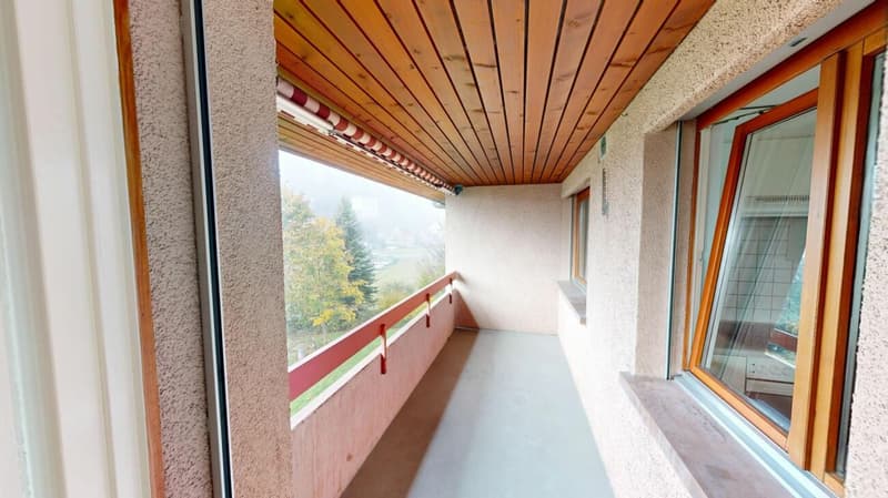 GEMÜTLICHE Singlewohnung (7)