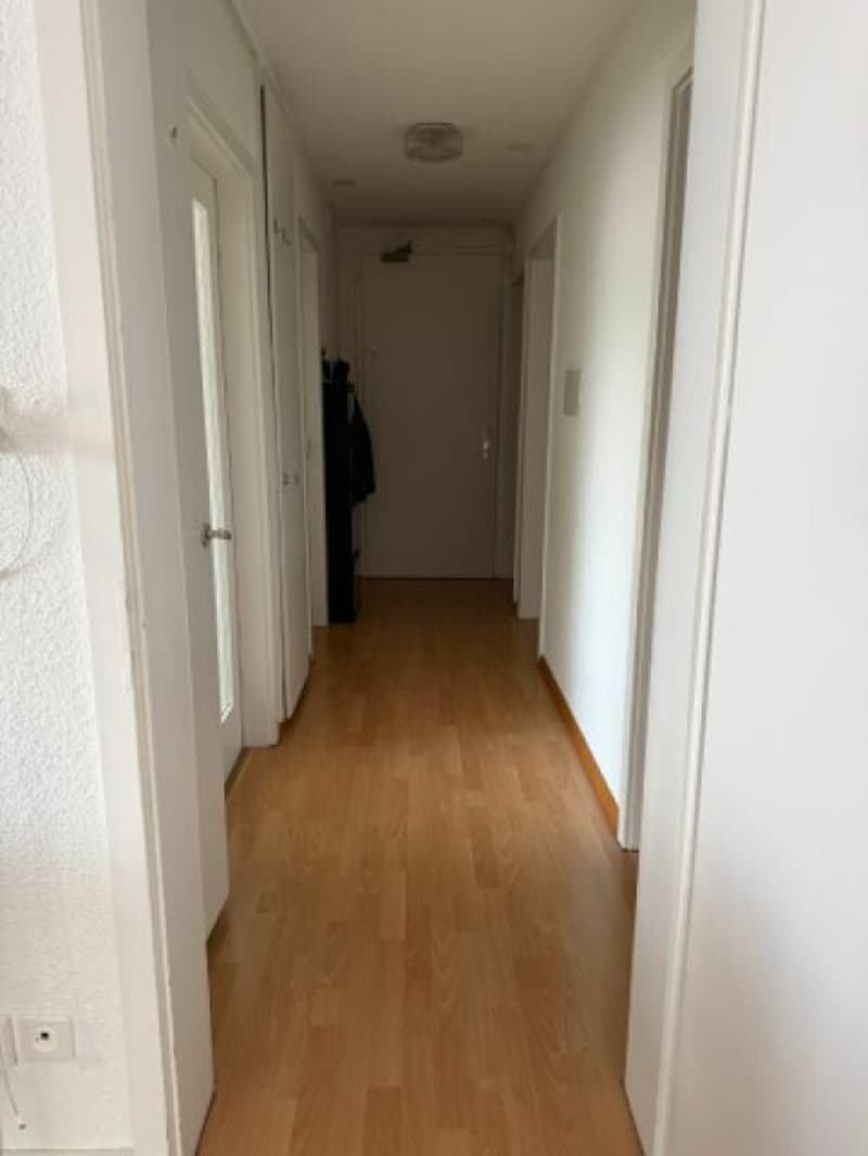5 Zimmer-Wohnung sucht neuen Mieter (4)