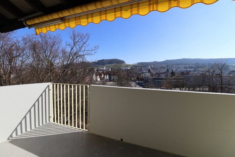 3.5 Zimmer Wohnung mit Balkon (7)