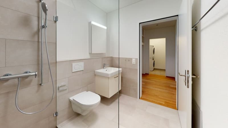 Neuwertige 2.5 Zimmer Sitzplatz Wohnung (7)