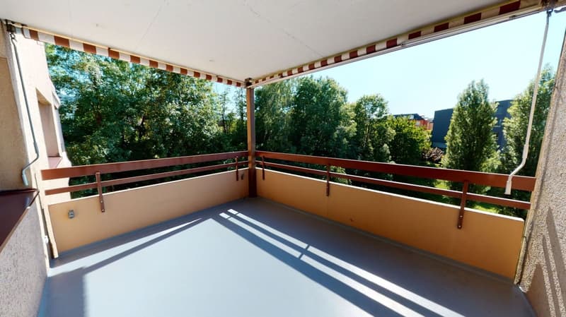 Grosse Wohnung für Familien (8)