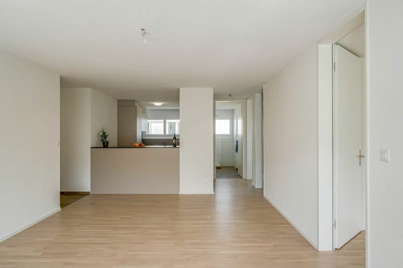 Moderne 4.5 Zimmer-Wohnung (4)