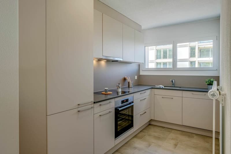 Moderne 4.5 Zimmer-Wohnung (3)