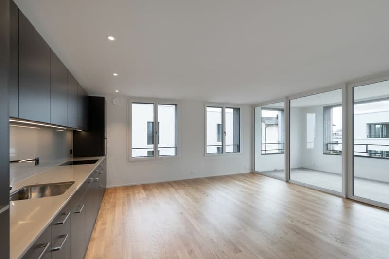Modern 3.5 Zimmer Wohnung (4)