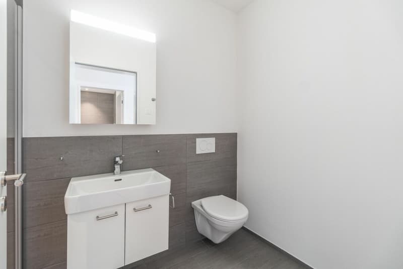Modern 3.5 Zimmer Wohnung (12)