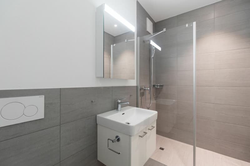 Modern 3.5 Zimmer Wohnung (11)