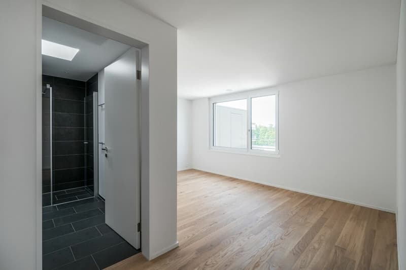 Moderne 3.5 Zimmer Attika Wohnung am See (3)