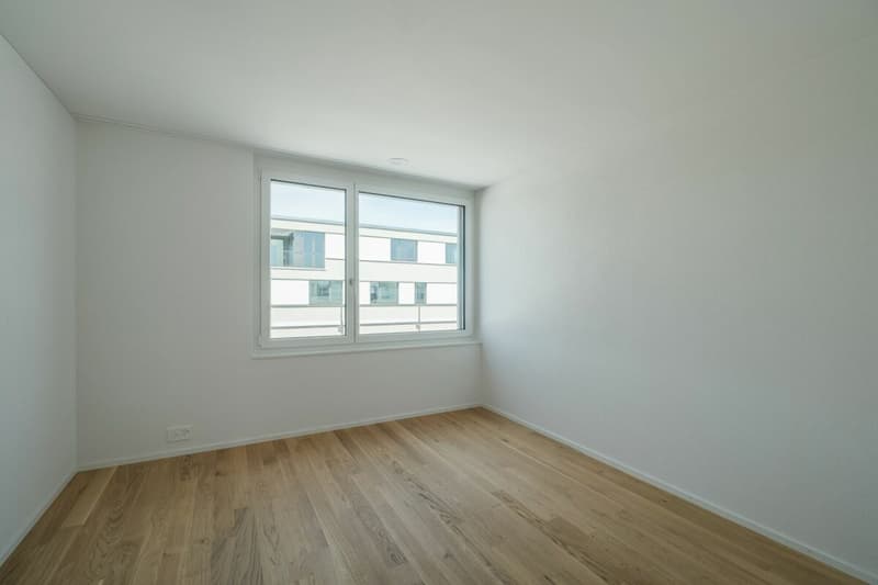 Moderne 3.5 Zimmer Attika Wohnung am See (8)