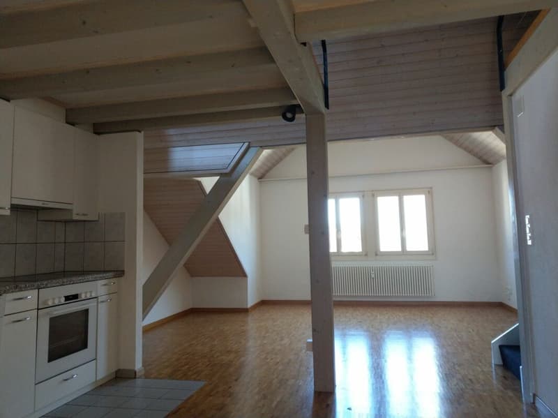 Zentrale 2.5 Zimmer- Wohnung (3)
