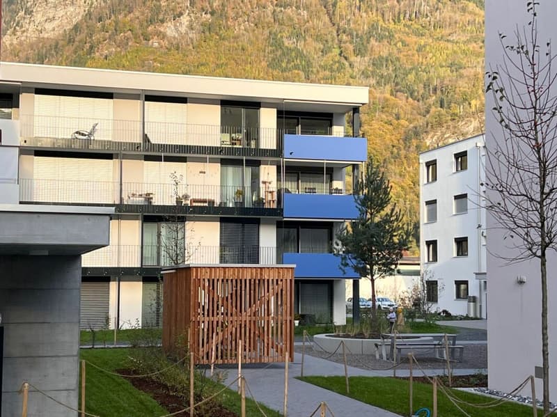Helle 2.5 Zimmer-Wohnung (2)