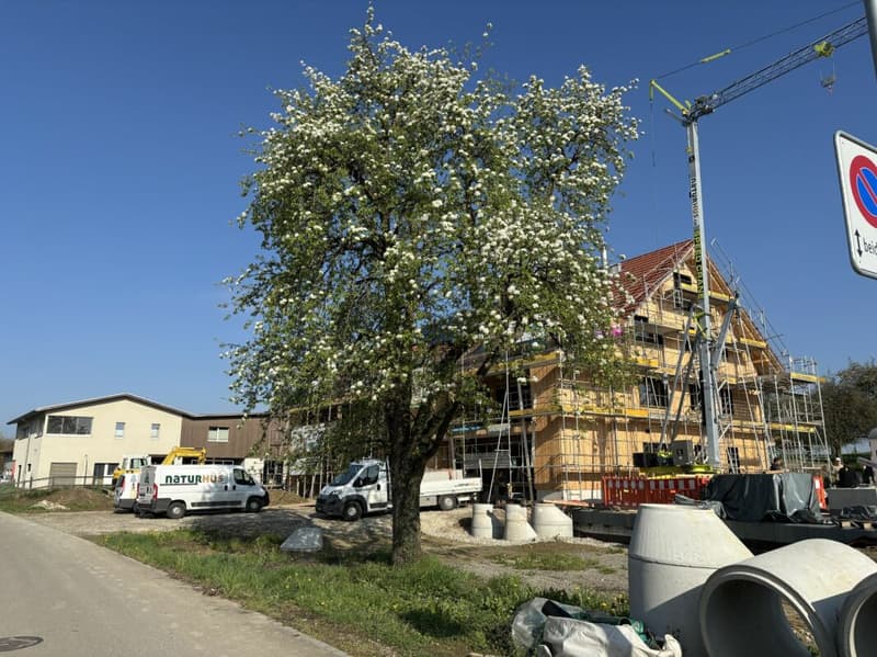 Überbauung Sunnegg - Wohntraum in Holz100 (3)