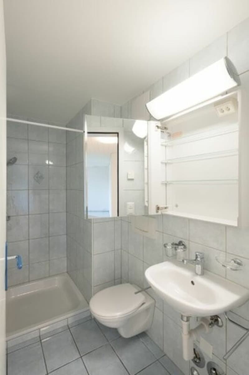 Gemütliche Dachwohnung in Sulgen (5)