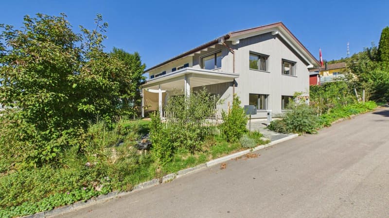 Frisch renoviertes DEFH mit Anbau in Elgg (1)