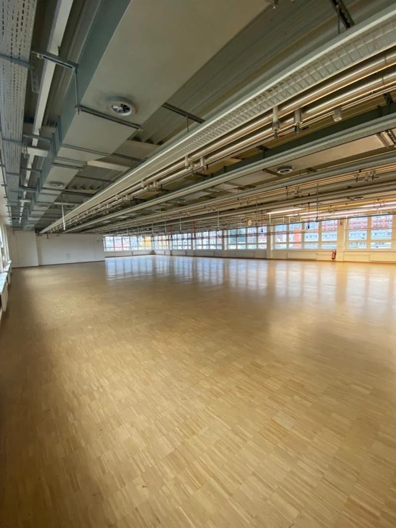 Halle_1.jpg