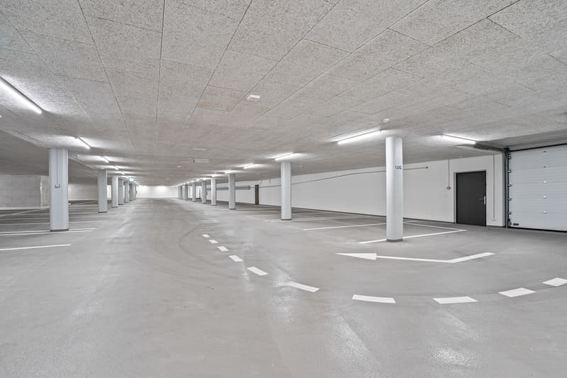 Wildegg_Immobilien_Atelier_und_Tiefgarage_Haldenhof_St._Gallen-5.jpg