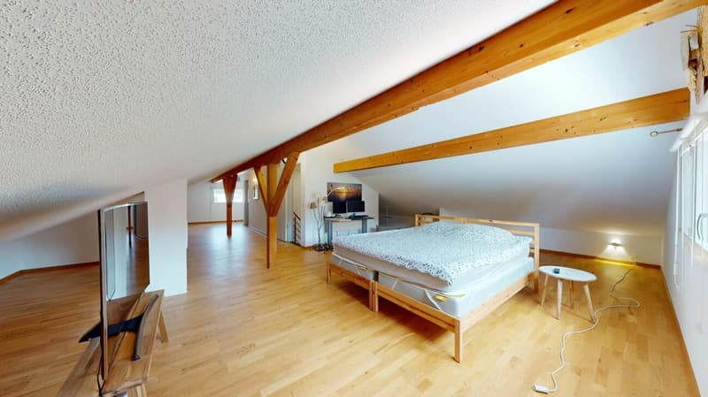 8 Zimmer Einfamilienhaus mit Einliegerwohnung (16)