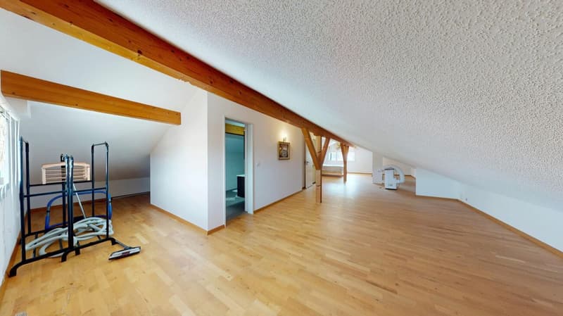 8 Zimmer Einfamilienhaus mit Einliegerwohnung (17)