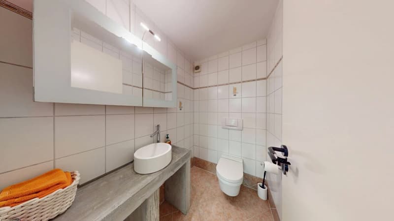 8 Zimmer Einfamilienhaus mit Einliegerwohnung (21)