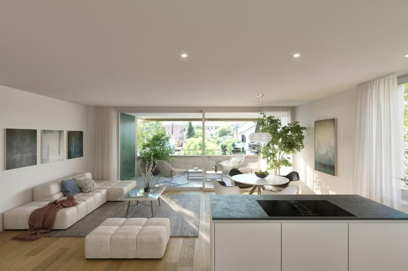 2.5 Zimmer Wohnung B 0.3 (12)