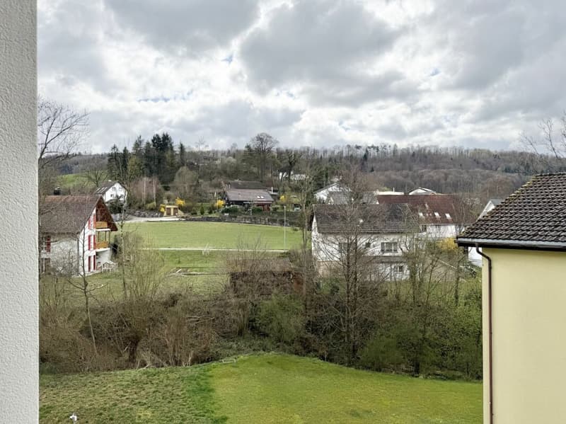 Appartement mansardé de 5,5 pièces E 3.1 (20)