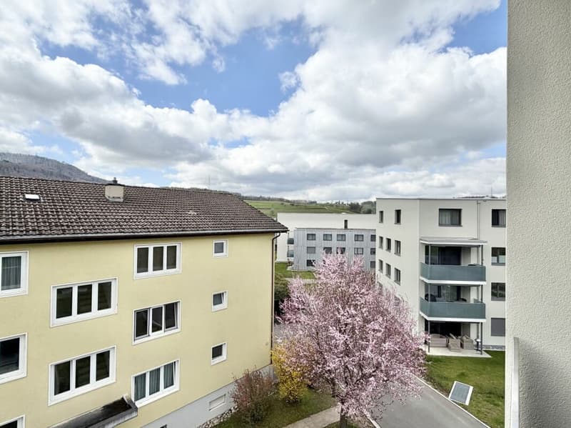 Appartement mansardé de 5,5 pièces E 3.1 (21)