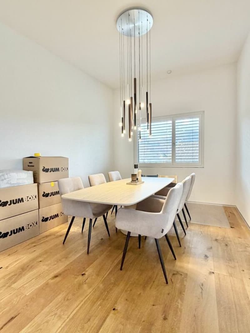 Appartement mansardé de 5,5 pièces E 3.1 (14)