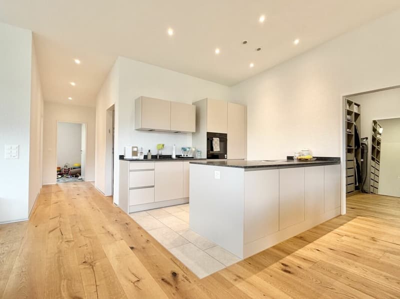 Appartement mansardé de 5,5 pièces E 3.1 (13)