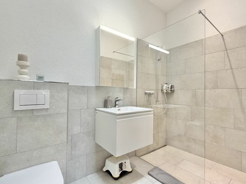 Appartement mansardé de 5,5 pièces E 3.1 (17)