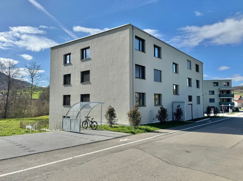 Appartement mansardé de 5,5 pièces E 3.1 (2)