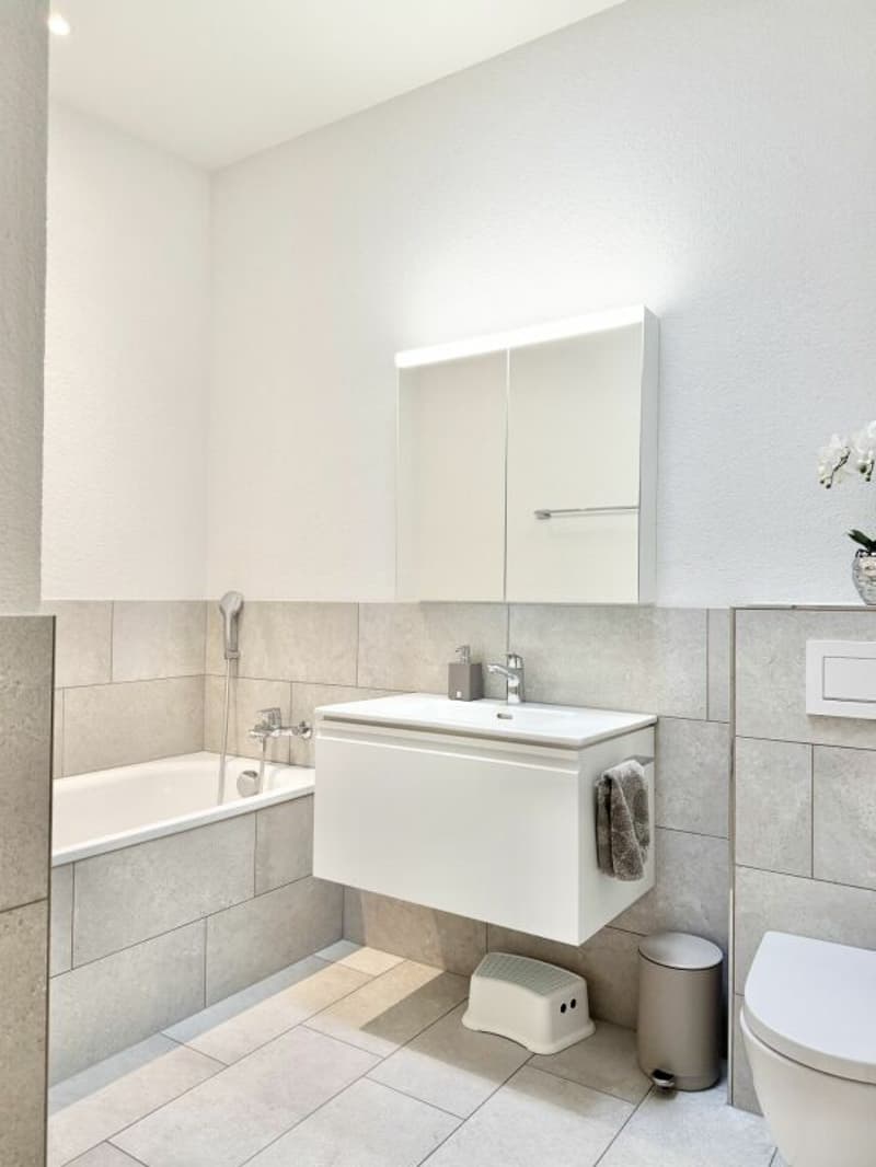 Appartement mansardé de 5,5 pièces E 3.1 (6)