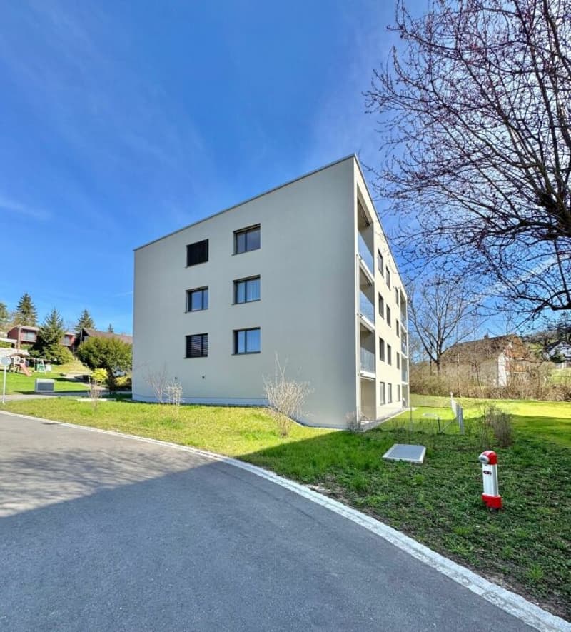 Appartement mansardé de 5,5 pièces E 3.1 (3)