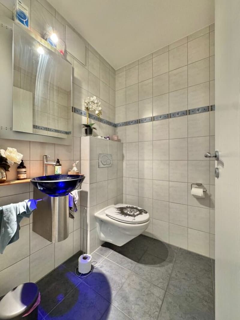 Frick / 5.5 Room Maisonette Apartment (9)