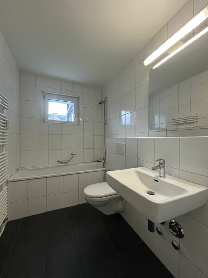 Liestal / 3.5 Zimmer Wohnung 2. OG links (8)