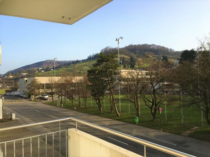 Liestal / 3.5 Zimmer Wohnung 2. OG links (13)