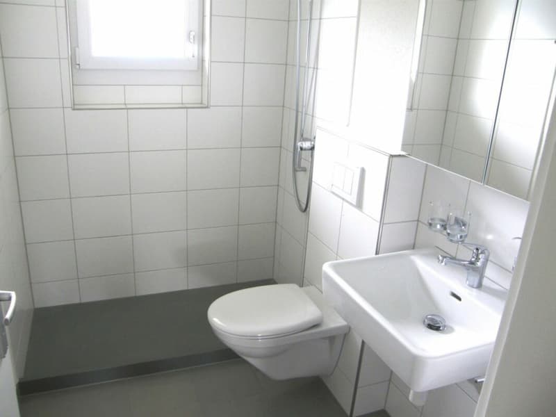 Aarau / 3 Zimmer Wohnung 3. OG links (6)