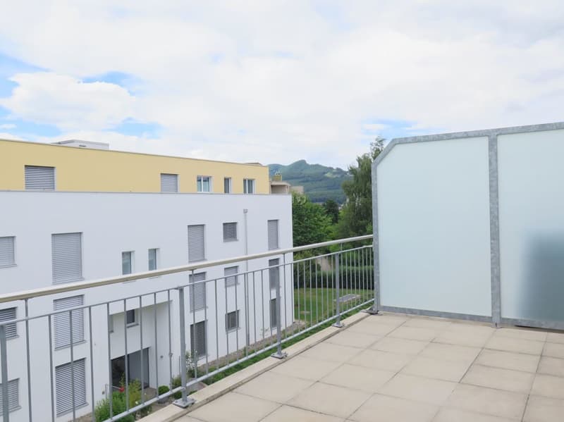 WOHNEN MIT SONNIGER DACHTERRASSE (7)