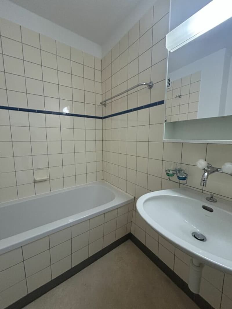 Frenkendorf / 3 Zimmer Erdgeschosswohnung (6)