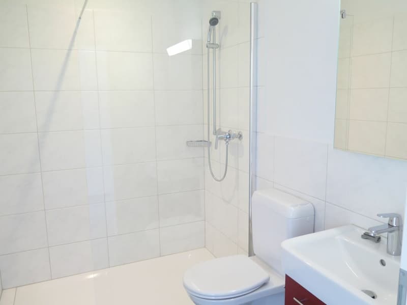 Brugg / 2.5 Zimmer Wohnung 0.2 (7)