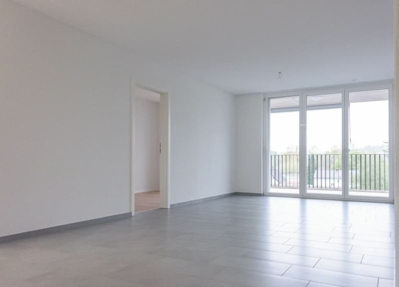 Brugg / 2.5 Zimmer Wohnung 0.2 (5)